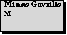 Text Box: Minas Gavrilis
M 
